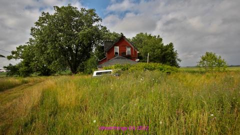 No Angry Lady In Sight (AUG 2022) cover photo