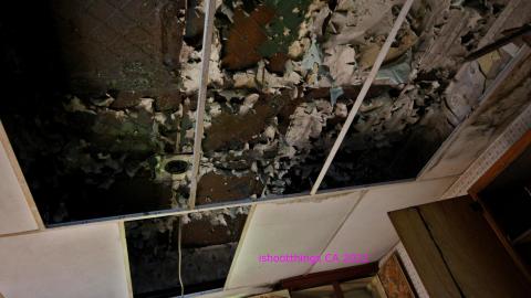 No Angry Lady In Sight (AUG 2022) - IMG_7764.JPG