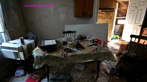 No Angry Lady In Sight (AUG 2022) - IMG_7766.JPG