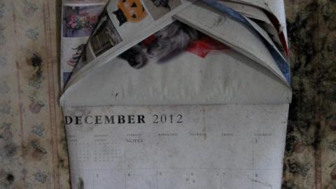 No Angry Lady In Sight (AUG 2022) - IMG_7768.JPG