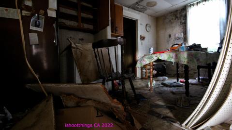 No Angry Lady In Sight (AUG 2022) - IMG_7772.JPG