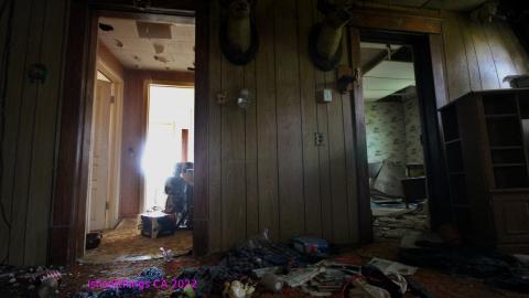 No Angry Lady In Sight (AUG 2022) - IMG_7778.JPG