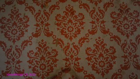 No Angry Lady In Sight (AUG 2022) - IMG_7782.JPG