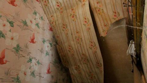 No Angry Lady In Sight (AUG 2022) - IMG_7787.JPG