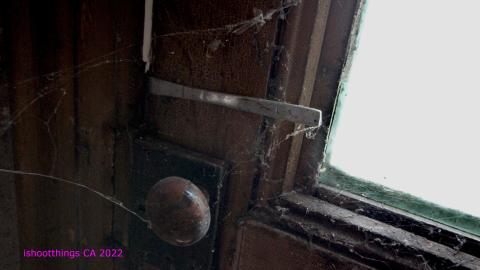 No Angry Lady In Sight (AUG 2022) - IMG_7791.JPG