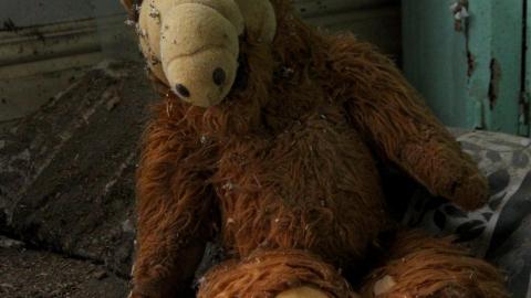 No Angry Lady In Sight (AUG 2022) - IMG_7798.JPG