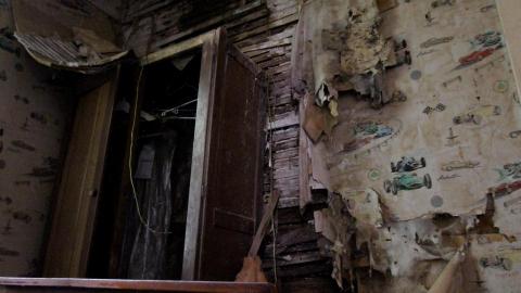 No Angry Lady In Sight (AUG 2022) - IMG_7800.JPG