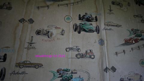 No Angry Lady In Sight (AUG 2022) - IMG_7804.JPG