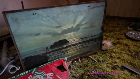 No Angry Lady In Sight (AUG 2022) - IMG_7813.JPG