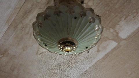 No Angry Lady In Sight (AUG 2022) - IMG_7812.JPG