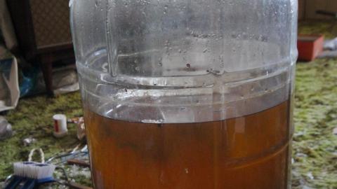 No Angry Lady In Sight (AUG 2022) - IMG_7814.JPG