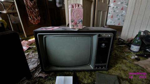 No Angry Lady In Sight (AUG 2022) - IMG_7816.JPG