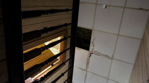 No Angry Lady In Sight (AUG 2022) - IMG_7822.JPG