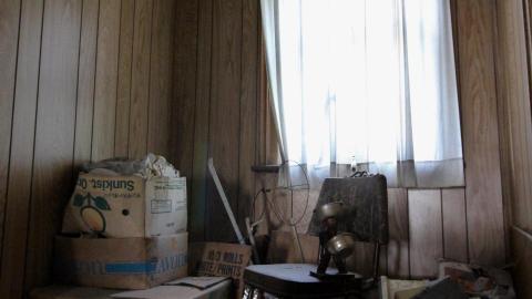 No Angry Lady In Sight (AUG 2022) - IMG_7823.JPG