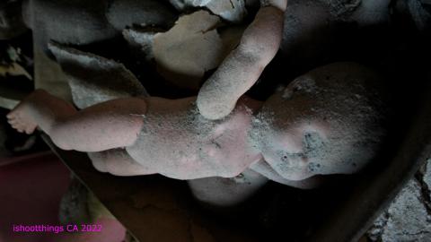 No Angry Lady In Sight (AUG 2022) - IMG_7832.JPG