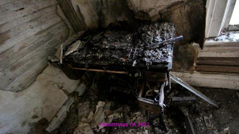 No Angry Lady In Sight (AUG 2022) - IMG_7837.JPG