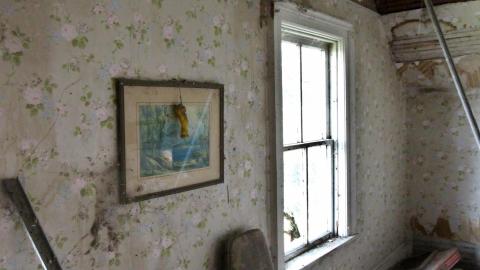 No Angry Lady In Sight (AUG 2022) - IMG_7838.JPG