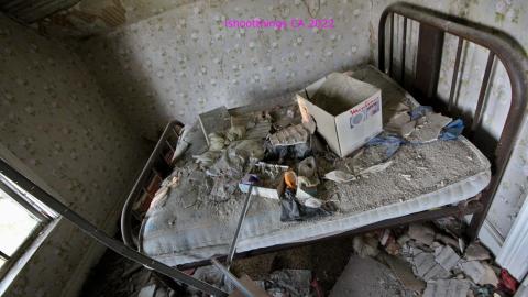 No Angry Lady In Sight (AUG 2022) - IMG_7840.JPG