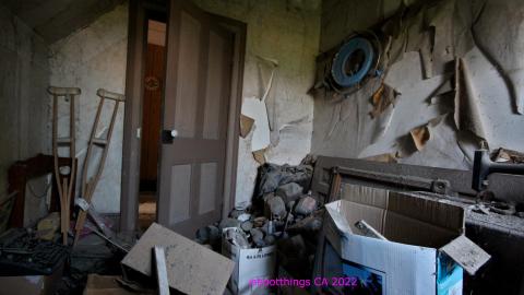 No Angry Lady In Sight (AUG 2022) - IMG_7849.JPG