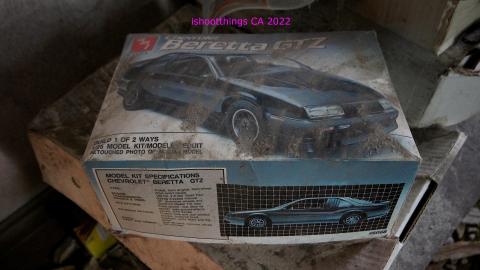 No Angry Lady In Sight (AUG 2022) - IMG_7852.JPG