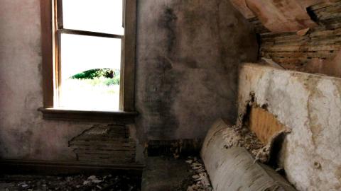 No Angry Lady In Sight (AUG 2022) - IMG_7854.JPG