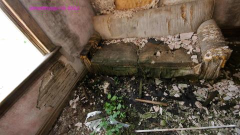 No Angry Lady In Sight (AUG 2022) - IMG_7855.JPG