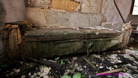 No Angry Lady In Sight (AUG 2022) - IMG_7858.JPG