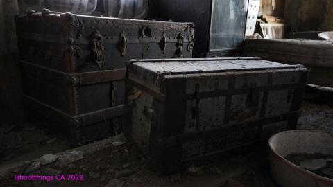 No Angry Lady In Sight (AUG 2022) - IMG_7862.JPG