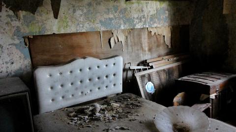 No Angry Lady In Sight (AUG 2022) - IMG_7865.JPG