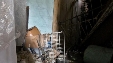 No Angry Lady In Sight (AUG 2022) - IMG_7870.JPG