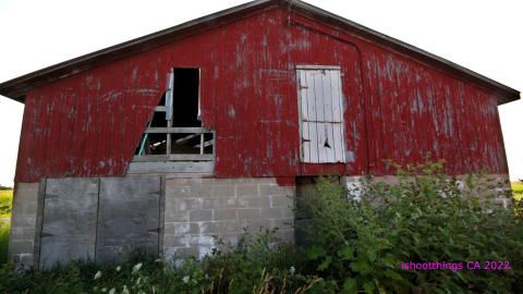 No Angry Lady In Sight (AUG 2022) - IMG_7876.JPG