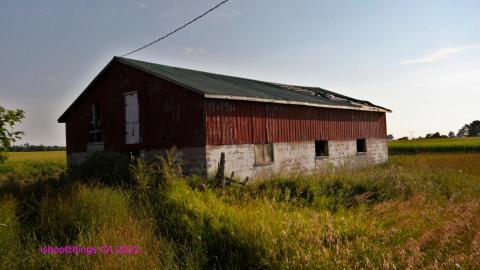 No Angry Lady In Sight (AUG 2022) - IMG_7875.JPG