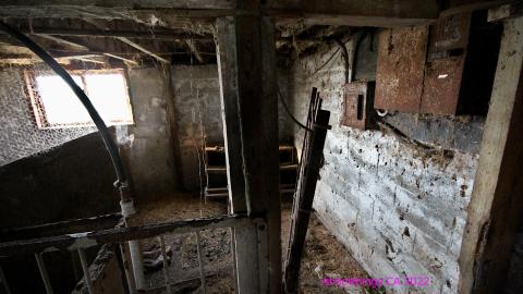 No Angry Lady In Sight (AUG 2022) - IMG_7878.JPG