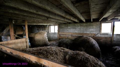 No Angry Lady In Sight (AUG 2022) - IMG_7880.JPG