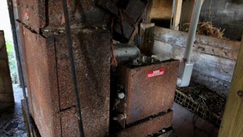 No Angry Lady In Sight (AUG 2022) - IMG_7881.JPG