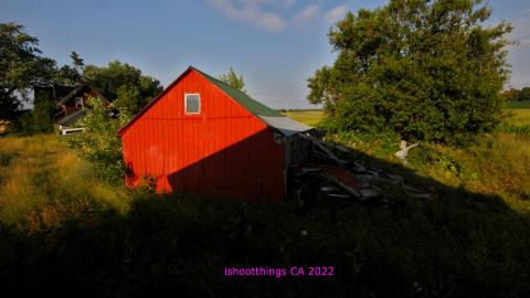 No Angry Lady In Sight (AUG 2022) - IMG_7883.JPG