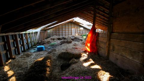 No Angry Lady In Sight (AUG 2022) - IMG_7884.JPG