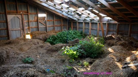 No Angry Lady In Sight (AUG 2022) - IMG_7885.JPG