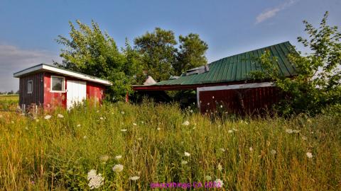 No Angry Lady In Sight (AUG 2022) - IMG_7886.JPG