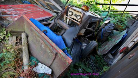 No Angry Lady In Sight (AUG 2022) - IMG_7887.JPG