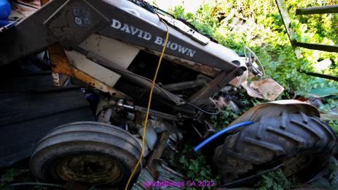 No Angry Lady In Sight (AUG 2022) - IMG_7889.JPG