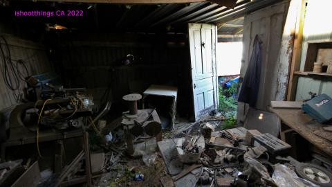 No Angry Lady In Sight (AUG 2022) - IMG_7891.JPG