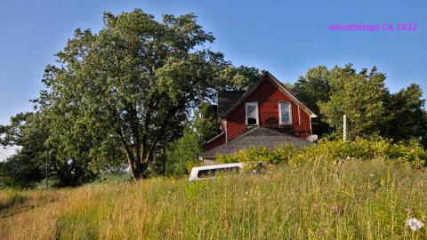 No Angry Lady In Sight (AUG 2022) - IMG_7897.JPG