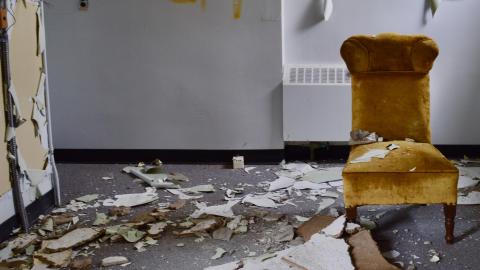 July 2020 (First Visit) - fitz-ps11.JPG