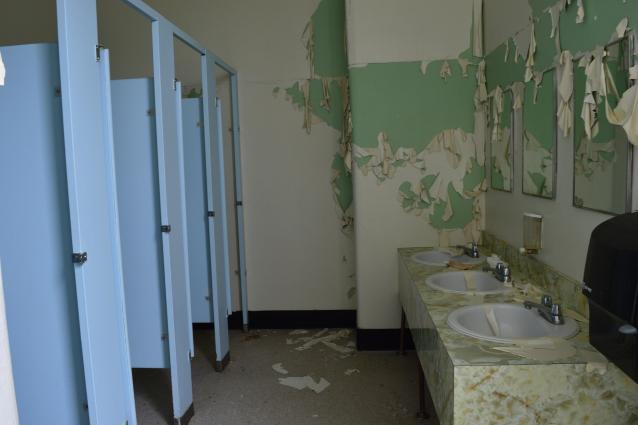 SS NO. 8 Fitzroy / Fitzroy Public School photo 4