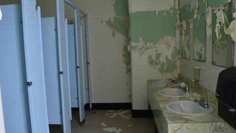 July 2020 (First Visit) - fitz-ps14.JPG