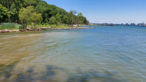 What could have been - 20220623_140047.jpg