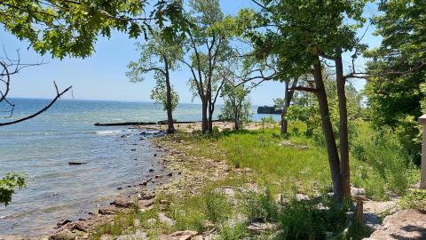 What could have been - 20220623_140451.jpg