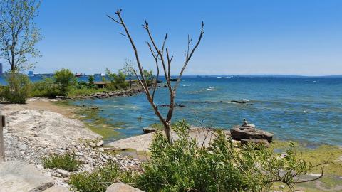 What could have been - 20220623_141040.jpg