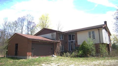 Swamp Thing - May 2013 - DSC_0069.jpg